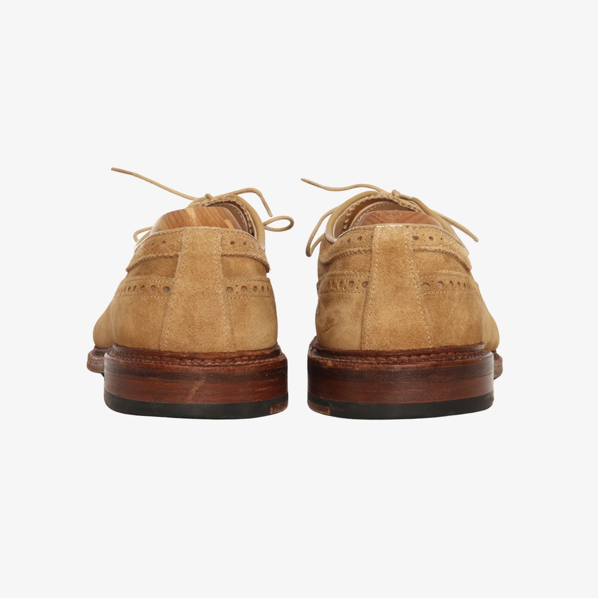 Suede Longwing Bluchers + Trees - Image 3