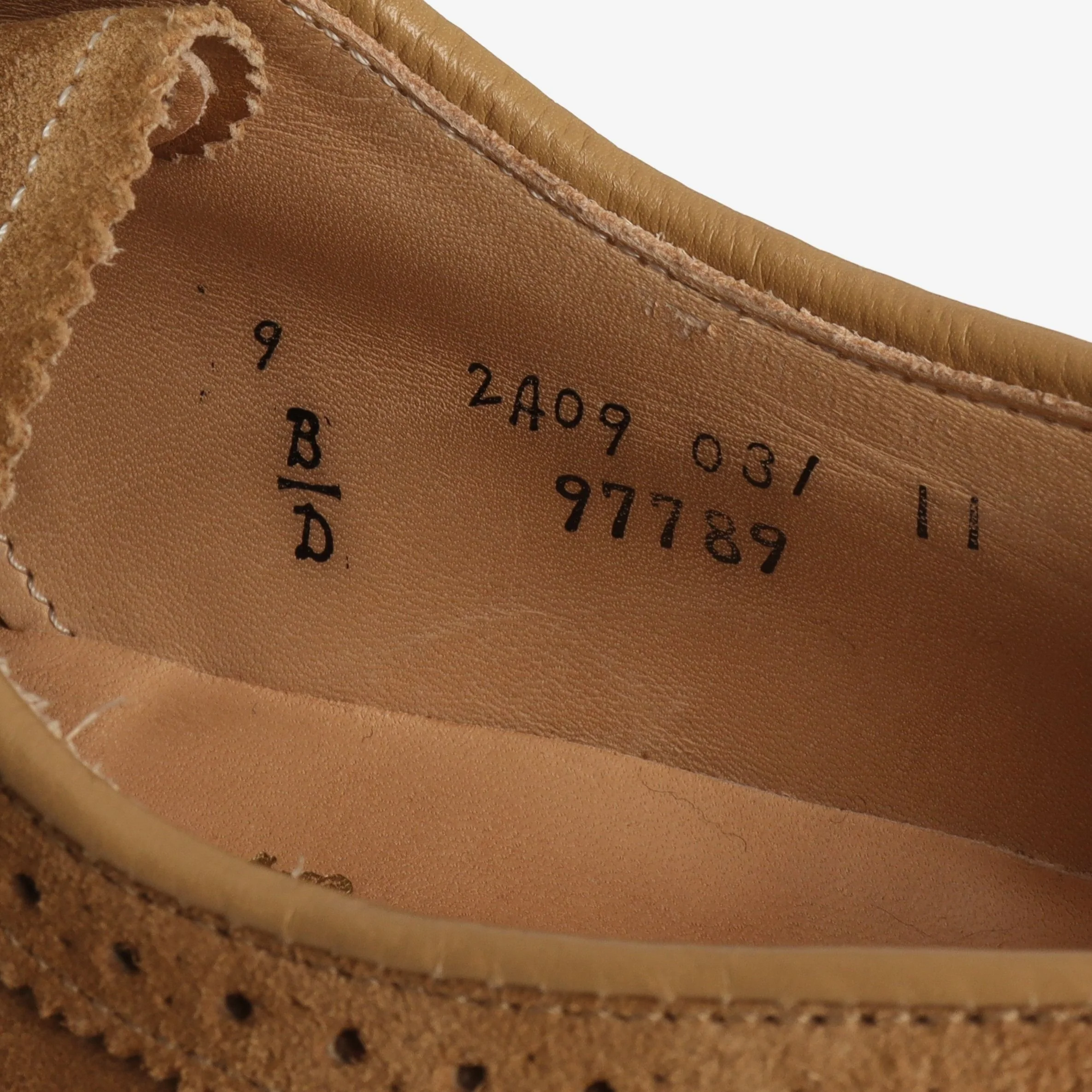 Suede Longwing Bluchers + Trees - Image 6